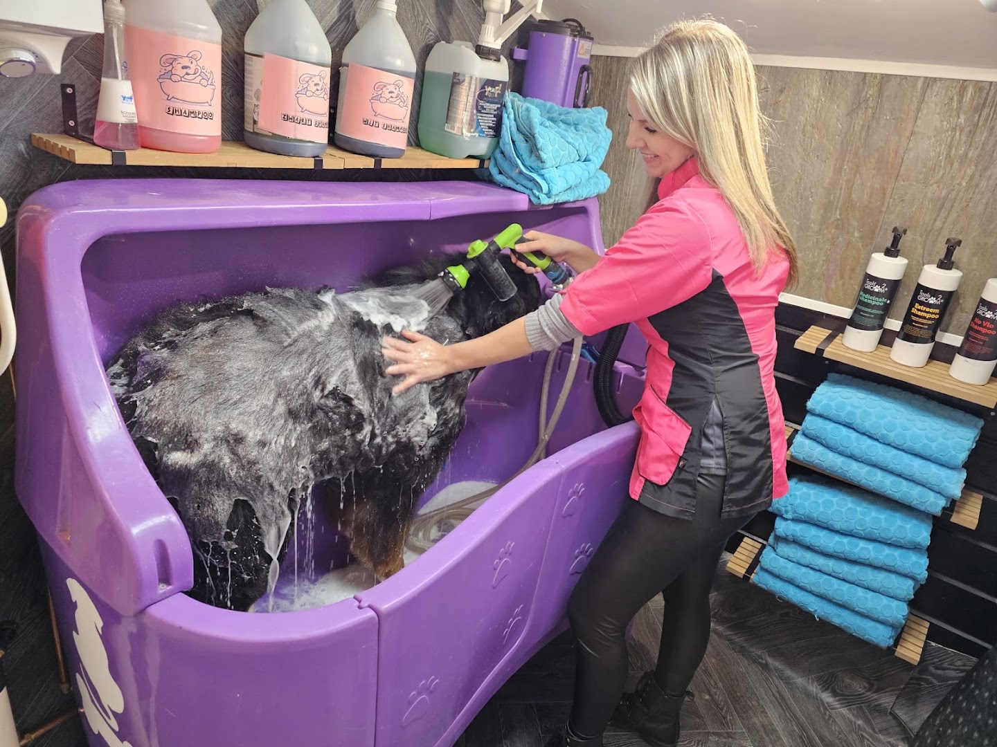 Stefanie wast een hond in het bubbelbad bij de trimsalon